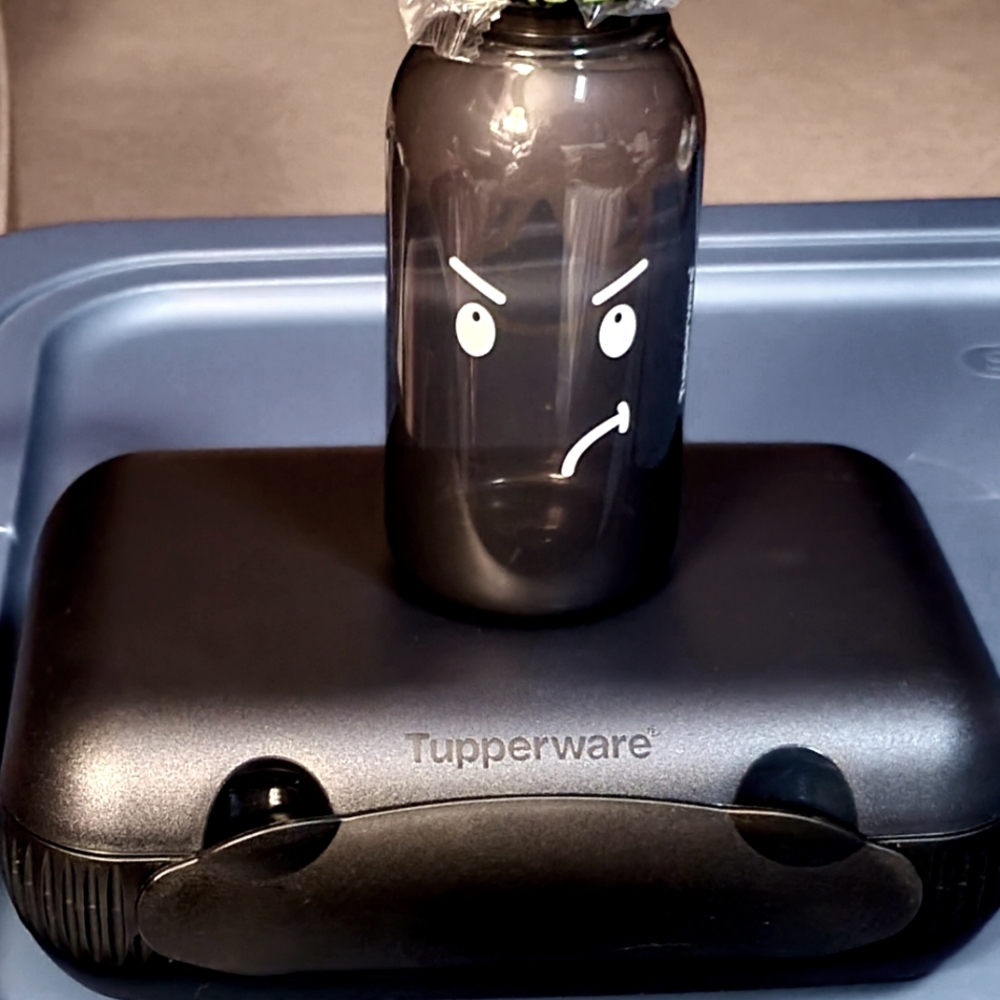 Kid's Tupperware Lunch Set - Picture 3 of 7